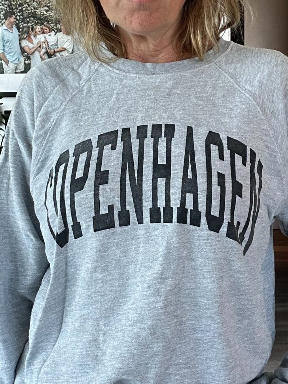 Retro Brand LA Copenhagen Graphic Sweatshirt, Size S